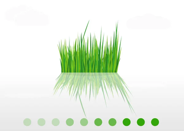 Fresh green summer grass. summer background — Stock Vector