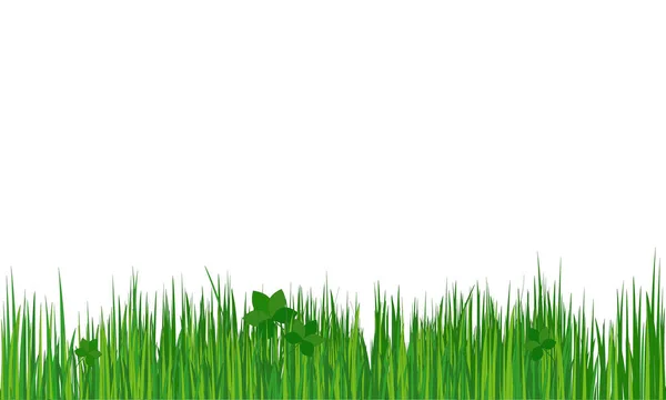 De l'herbe. Contexte d'été (printemps). Vecteur — Image vectorielle