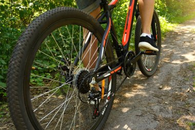 Ormanın içinden bisikletle yaz güneşli sabah yürüyüş. Yakın çekim. Spor ve doğa. 