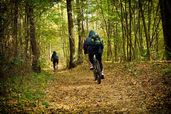 Radfahrer fährt Mountainbike auf felsigem Weg — Stockfoto