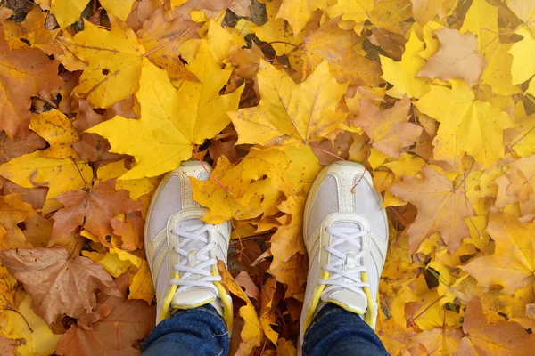 Saison d'automne en chaussures de style hipster — Photo
