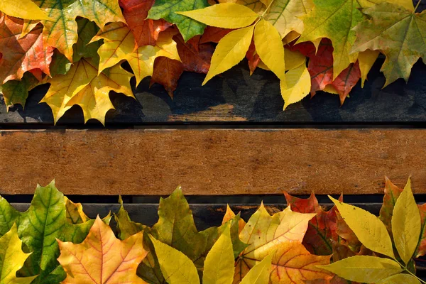 Feuilles d'automne tombées sur un banc en bois dans le parc à l'automne — Photo