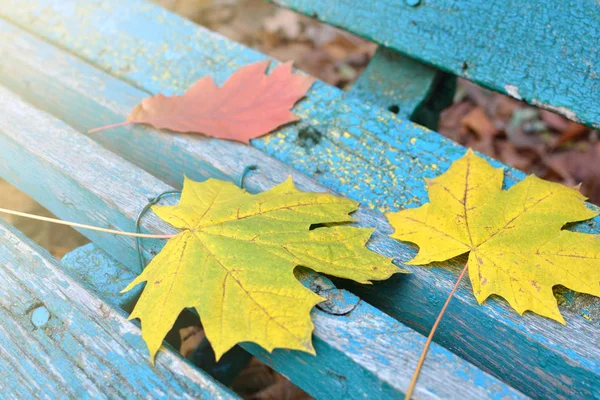 Желтые опавшие осенние листья на деревянной скамейке в заброшенном городском парке. Осенний пейзаж — стоковое фото