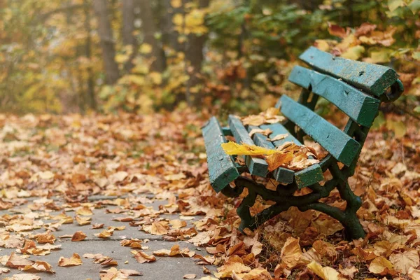 Feuilles d'automne jaunes tombées sur un banc en bois dans un parc abandonné. Paysage d'automne — Photo