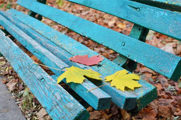 Jaune feuilles d'automne tombées sur un banc en bois dans un parc urbain abandonné. Paysage d'automne — Photo