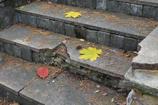 Ahorngelbe Blätter auf alten, bröckelnden Treppen in einem verlassenen Stadtpark. Herbst ist die Zeit des Jahres. — Stockfoto