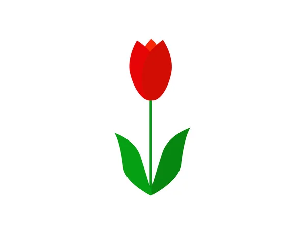 Ícone Plano Fundo Branco Tulipa Flores — Vetor de Stock