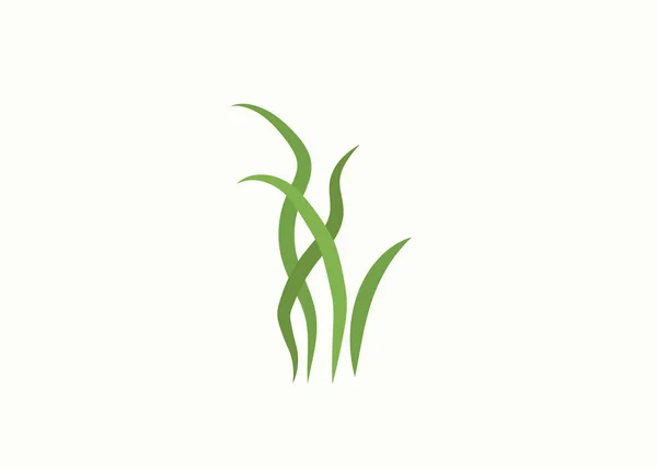 Green Grass Gazon Vector Icon Web Version — Stock Vector