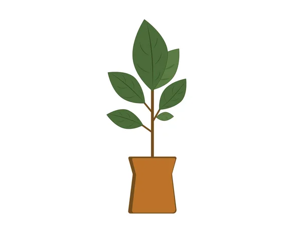 Ficus Árbol Una Olla Interior Confort Hogar Icono Vectón — Vector de stock