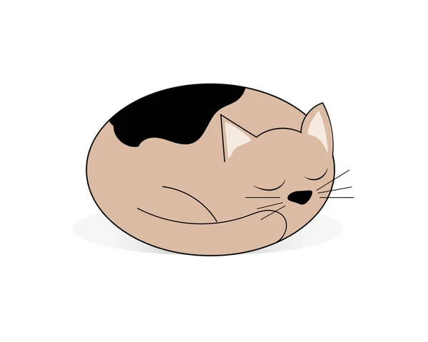 Кошка Спит Свернувшись Гломеруле Векторная Иллюстрация Икона — стоковый вектор