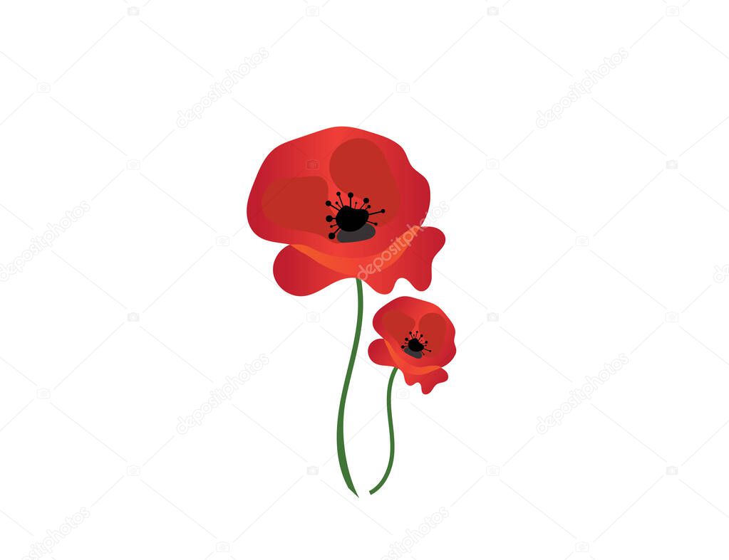 Flower (poppy) icon isolated on white background. Vector image.
