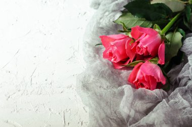 Beyaz arka plan üzerinde pembe gül buketi. Kopya alanı ile Üstten Görünüm.