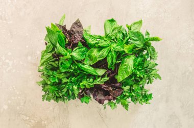 Yeşil taze aromatik otlar - kekik, fesleğen, maydanoz gri arka plan üzerinde. Afiş kolaj, gıda çerçeve. Boşaltmak. Üstten Görünüm. Tonda etkisi.