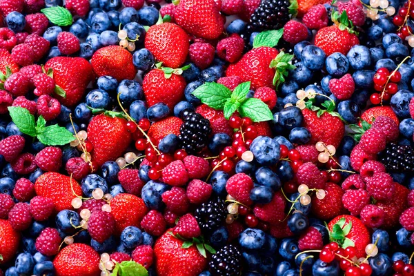 Surtido de fresas, arándanos, frambuesas, moras, grosellas, menta. Vista superior. Comida de verano. Macro de fondo de bayas de colores. Concepto de alimentación vegana, vegetariana y limpia — Foto de Stock