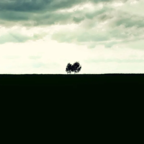 Minimalist single tree silhouette. Concept of loneliness, depression, escape, friendship, support, care, marriage. Nature background with copy space. Two trees alone against cloudy sky — Stock Photo, Image
