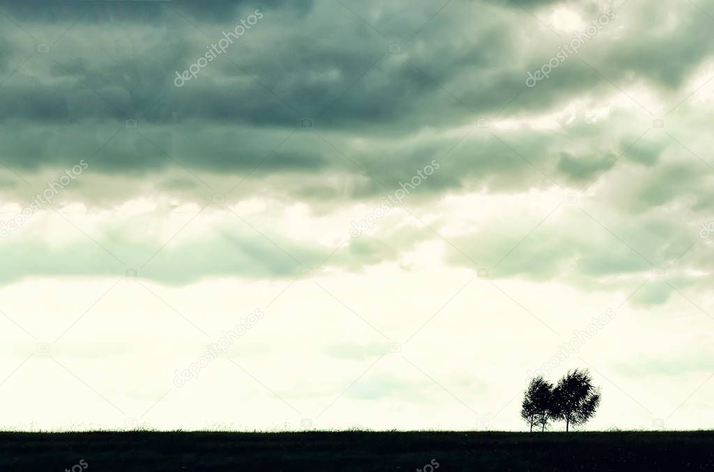 Minimalist single tree silhouette. Concept of loneliness, depression, escape, friendship, support, care, marriage. Nature background with copy space. Two trees alone against cloudy sky