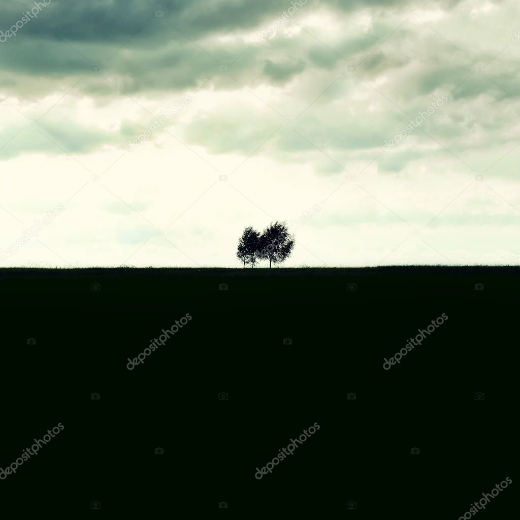 Minimalist single tree silhouette. Concept of loneliness, depression, escape, friendship, support, care, marriage. Nature background with copy space. Two trees alone against cloudy sky