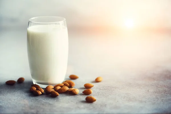 Almond milk in glass with almonds nuts on grey concrete background, copy space. Vegan alternative food, clean eating concept — Stock Photo, Image