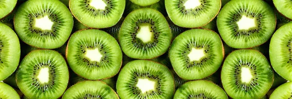Свежие органические фрукты киви нарезаны. Рамка для еды с местом для копирования текста. Баннер. Зеленые круги киви — стоковое фото