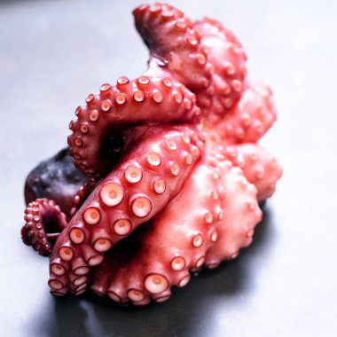 Kopya alanı metal zemin üzerine haşlanmış ahtapot. Kare kırpma