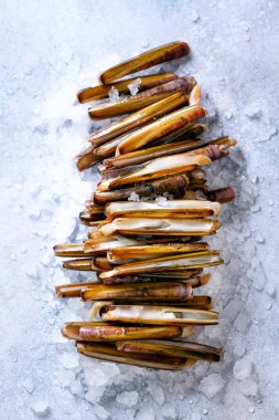 Buz, gri beton zemin üzerine taze jilet istiridye. Kopya alanı, üstten görünüm.