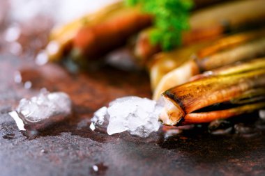 Buz, gri beton zemin üzerine taze jilet istiridye. Kopya alanı, üstten görünüm.