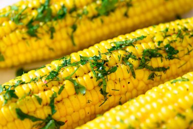 Baharat gri hafif beton zemin üzerine haşlanmış mısır. Kopya alanı