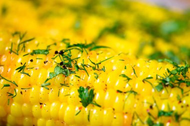 Baharat gri hafif beton zemin üzerine haşlanmış mısır. Alan, kopya makro.