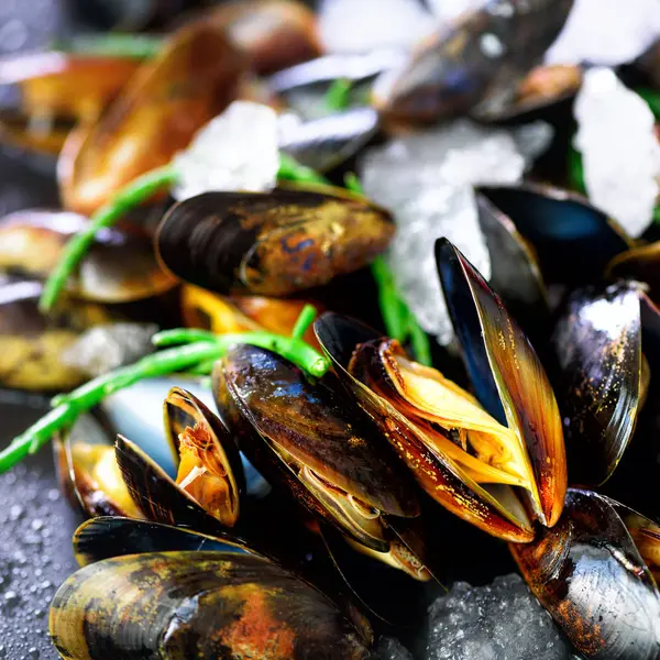 Mejillones sobre fondo de hormigón de piedra. Vista superior, espacio de copia. Efecto soleado tonificado —  Fotos de Stock