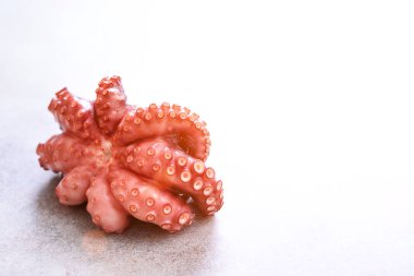 Kopya alanı metal zemin üzerine haşlanmış ahtapot. Tonda güneşli etkisi ve sunlights