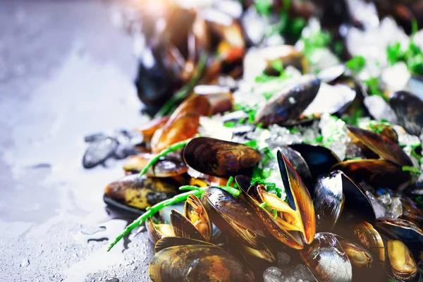 Mussels on stone concrete background. Top view, copy space. Toned sunny effect — Stock Photo, Image