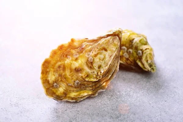 Fresh oysters on white, grey concrete stone background. Top view, copy space. Toned sunny effect and sunlights — Stock Photo, Image