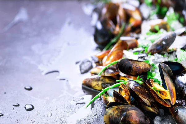 Mussels, molluscs, seaweed, sea plants, ice on old vintage rustic metal background. Top view, copy space — Stock Photo, Image