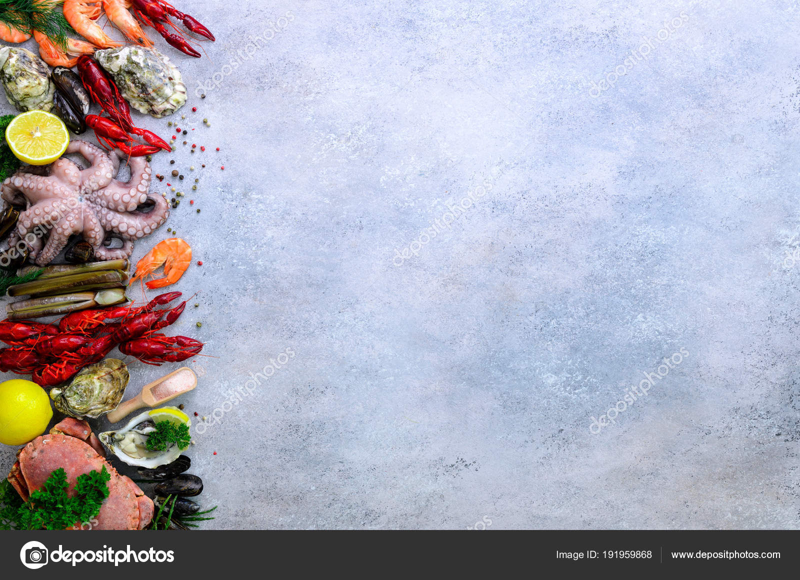 Seafood background fresh mussels molluscs oysters Seafood background fresh mussels molluscs oysters