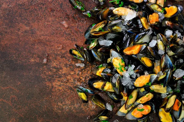 Mussels, molluscs, seaweed, sea plants, ice on old vintage rustic metal background. Top view, copy space — Stock Photo, Image