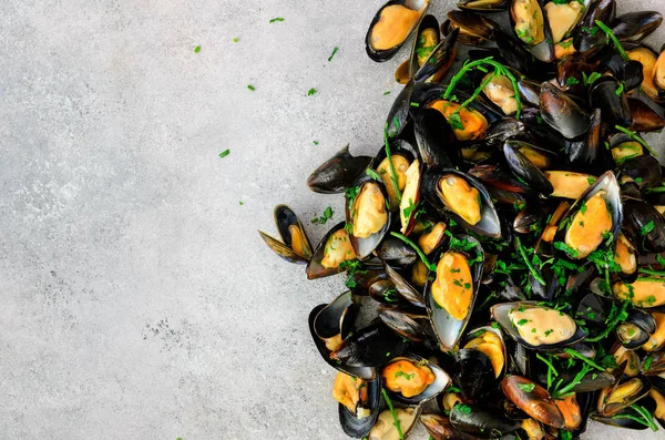 Mussels on stone concrete background. Top view, copy space — Stock Photo, Image