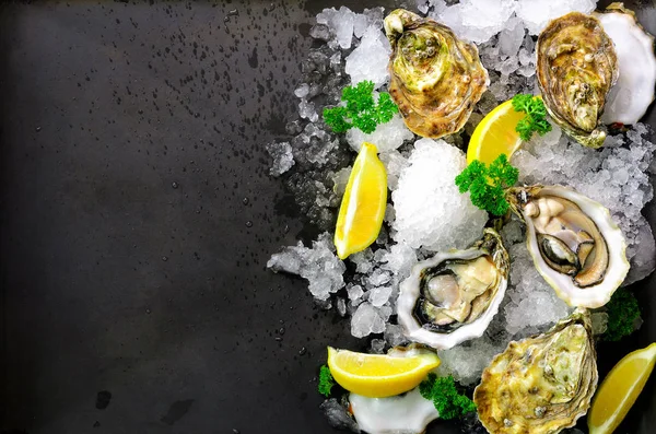 Fresh opened oysters, lemon, herbs, ice on dark metal background. Top view, copy space — Stock Photo, Image