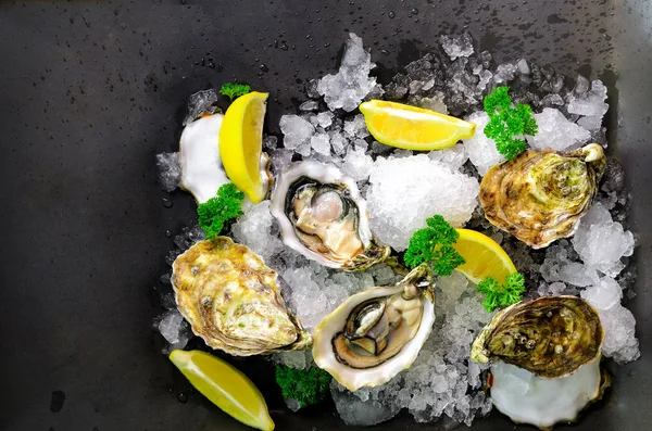 Fresh opened oysters, lemon, herbs, ice on dark metal background. Top view, copy space — Stock Photo, Image