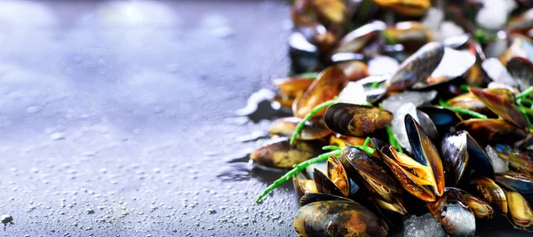 Mussels on stone concrete background. Top view, copy space. Banner — Stock Photo, Image