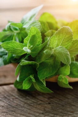 Boşaltmak ve sunlights ahşap zemin üzerine taze nane yaprakları