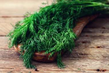 Demet taze organik dereotu boşaltmak, rustik ve vintage style, seçici odak ahşap zemin üzerine