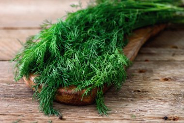 Demet taze organik dereotu boşaltmak, rustik ve vintage style, seçici odak ahşap zemin üzerine