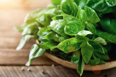 Boşaltmak ahşap zemin üzerine yeşil taze organik fesleğen. Otlar ve baharatlar yemek pişirmek için