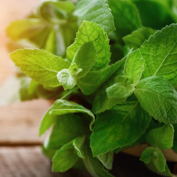 Hojas de menta fresca sobre fondo de madera con copyspace y luz solar —  Fotos de Stock