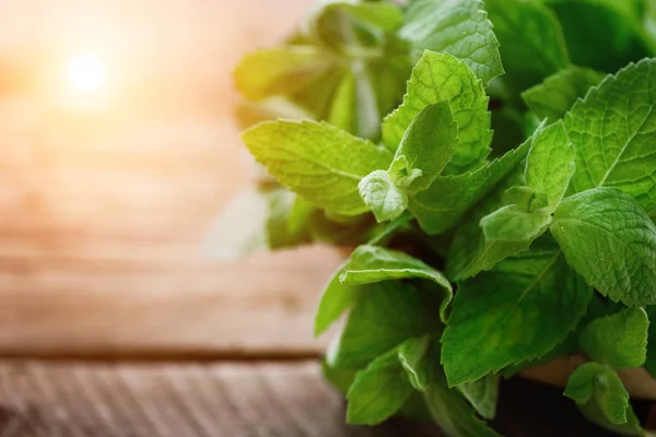 Hojas de menta fresca sobre fondo de madera con copyspace y luz solar —  Fotos de Stock