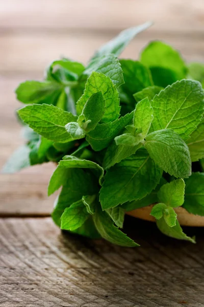 Hojas de menta fresca sobre fondo de madera con copyspace y luz solar —  Fotos de Stock