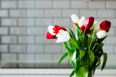 Taze beyaz ve kırmızı laleler mutfak arka plan üzerinde. Kocasından, mevcut. Boşaltmak.