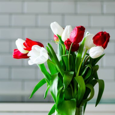 Taze beyaz ve kırmızı laleler mutfak arka plan üzerinde. Kocasından, mevcut. Boşaltmak.