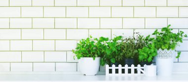 Minimalist mutfak tasarımı. Nane, kekik, fesleğen, maydanoz - aromatik mutfak otlar içinde beyaz ahşap krater mutfak masasında, tuğla döşeme arka plan. Yaşam tarzı kavramı. Boşaltmak