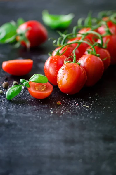 Tomates de cereja frescos em fundo preto com manjericão, temperos. Espaço de cópia . — Fotografia de Stock